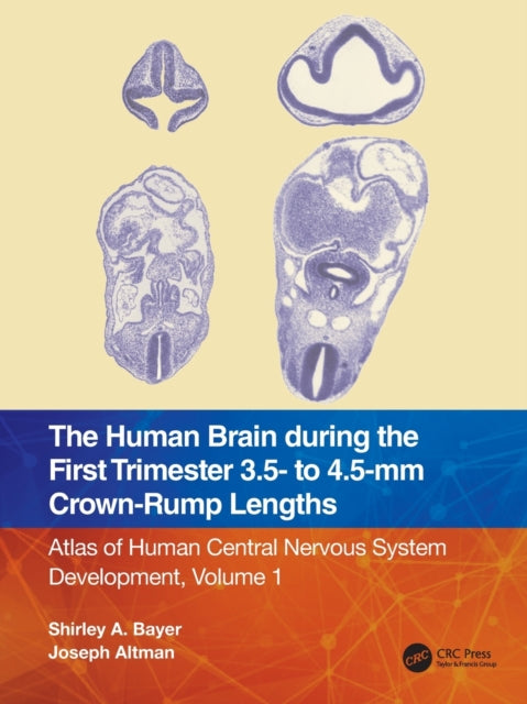 Book cover of: Human Brain during the First Trimester 3.5- to 4.5-mm Crown-Rump Lengths. By: Shirley A. Bayer