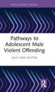 Book cover of: Pathways to Adolescent Male Violent Offending