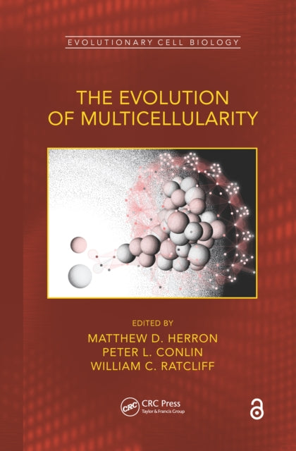 Book cover of: Evolution of Multicellularity. By: Matthew D. Herron