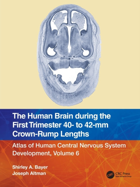 Book cover of: Human Brain during the First Trimester 40- to 42-mm Crown-Rump Lengths. By: Shirley A. Bayer