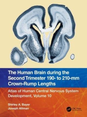 The Human Brain during the Second Trimester 190– to 210–mm Crown-Rump Lengths