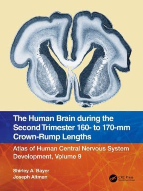 Book cover of: Human Brain during the Second Trimester 160– to 170–mm Crown-Rump Lengths. By: Shirley A. Bayer
