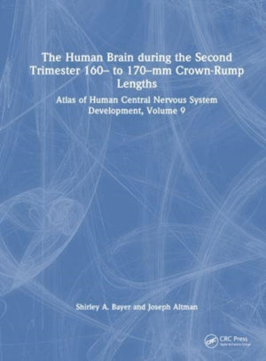 The Human Brain during the Second Trimester 160– to 170–mm Crown-Rump Lengths