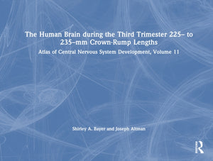 The Human Brain during the Third Trimester 225– to 235–mm Crown-Rump Lengths