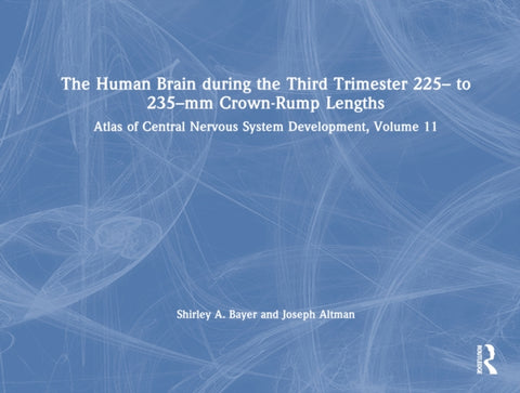 The Human Brain during the Third Trimester 225– to 235–mm Crown-Rump Lengths
