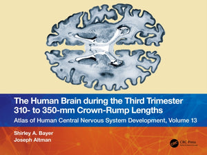 The Human Brain during the Third Trimester 310– to 350–mm Crown-Rump Lengths