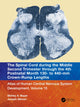 Book cover of: Spinal Cord during the Middle Second Trimester through the 4th Postnatal Month 130- to 440-mm Crown-Rump Lengths. By: Shirley A. Bayer