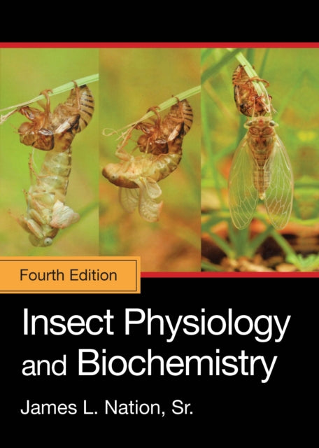 Book cover of: Insect Physiology and Biochemistry. By: James L. Nation