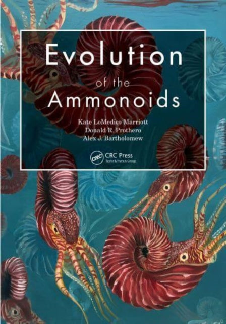 Book cover of: Evolution of the Ammonoids. By: Kate LoMedico Marriott