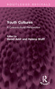 Book cover of: Youth Cultures. By: Vered Amit