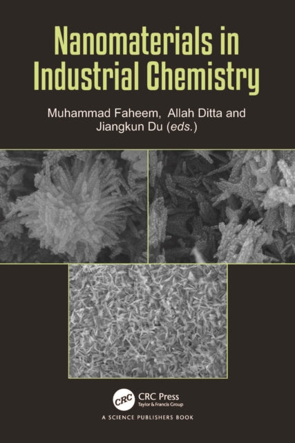 Book cover of: Nanomaterials in Industrial Chemistry. By: Muhammad Faheem
