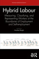 Book cover of: Hybrid Labour