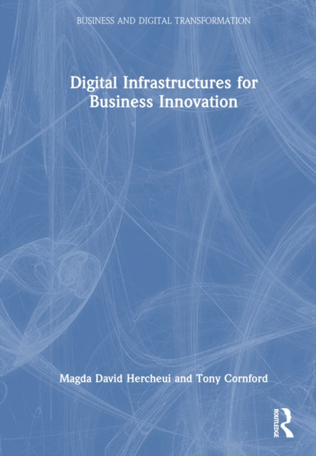 Digital Infrastructures for Business Innovation