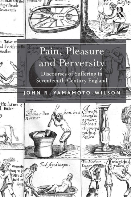 Book cover of: Pain, Pleasure and Perversity