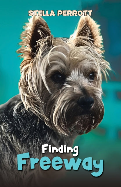 Book cover of: Finding Freeway