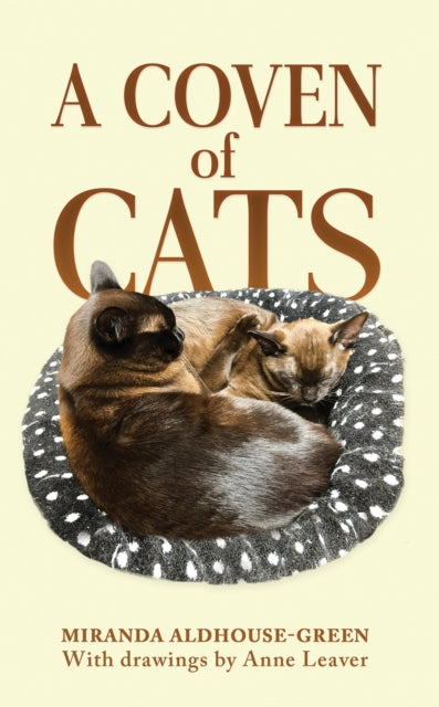 Book cover of: Coven of Cats