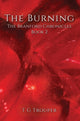 Book cover of: Burning