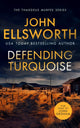 Book cover of: Defending Turquoise