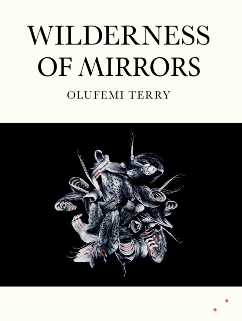 Wilderness of Mirrors