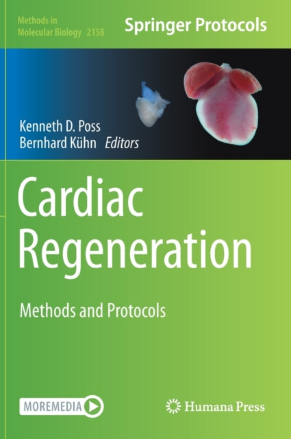 Book cover of: Cardiac Regeneration. By: Kenneth Poss
