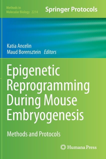 Book cover of: Epigenetic Reprogramming During Mouse Embryogenesis. By: Katia Ancelin