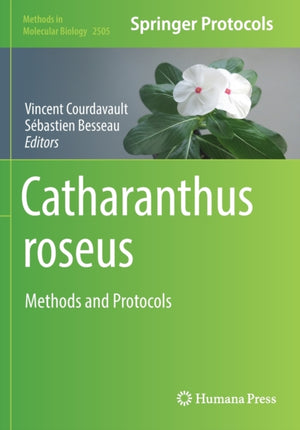 Catharanthus roseus