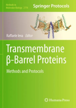 Transmembrane ß-Barrel Proteins