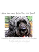 Book cover of: How are you, Bella Butter Boo?. By: Ashley Wenzel Gulden