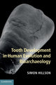 Book cover of: Tooth Development in Human Evolution and Bioarchaeology