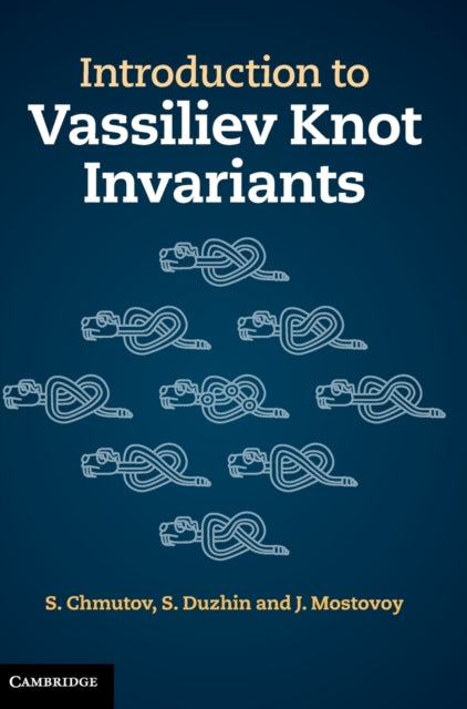 Introduction to Vassiliev Knot Invariants