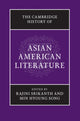 Book cover of: Cambridge History of Asian American Literature. By: Min Hyoung Song