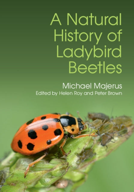 Book cover of: Natural History of Ladybird Beetles. By: Michael Majerus