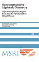 Book cover of: Noncommutative Algebraic Geometry. By: Gwyn Bellamy