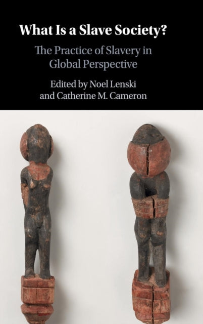 Book cover of: What Is a Slave Society?