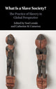 Book cover of: What Is a Slave Society?