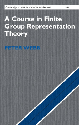 A Course in Finite Group Representation Theory