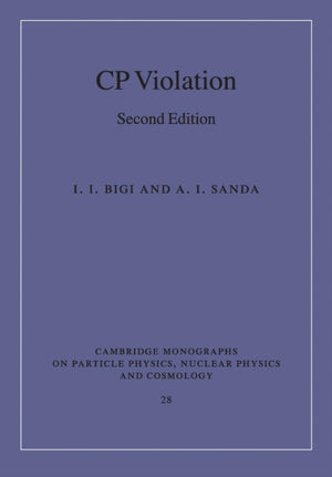 CP Violation