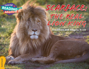 Cambridge Readingi seiklused Scarface: The Real Lion King Gold Band