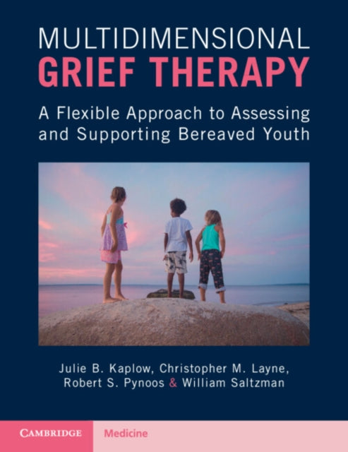 Book cover of: Multidimensional Grief Therapy. By: Julie Kaplow