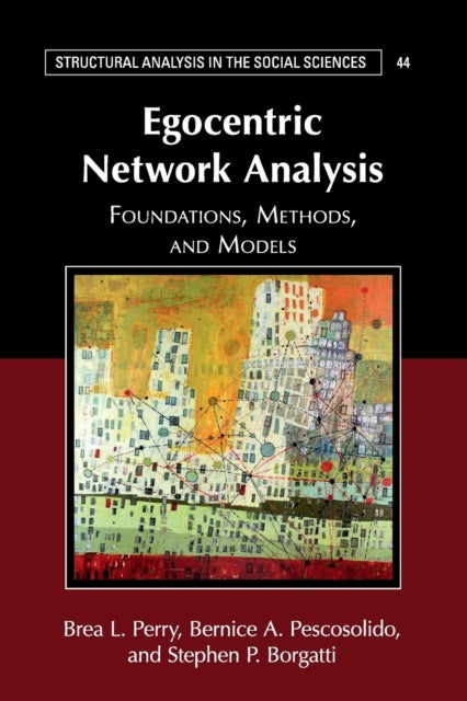 Egocentric Network Analysis