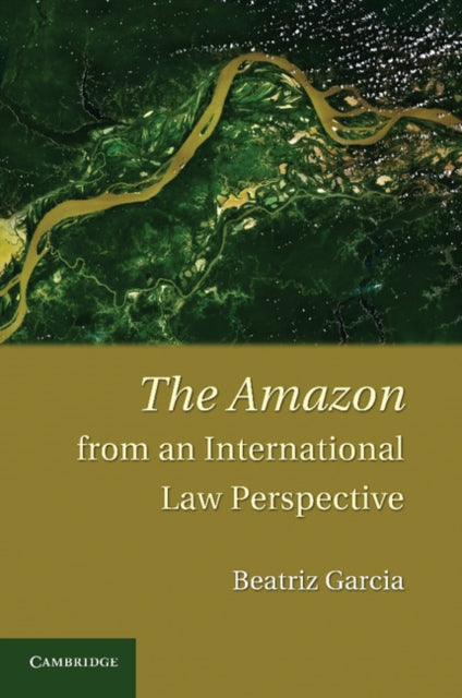 Book cover of: Amazon from an International Law Perspective. By: Beatriz Garcia