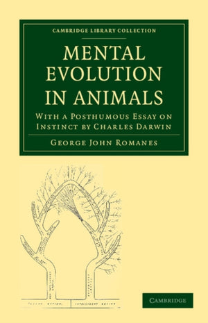 Mental Evolution in Animals