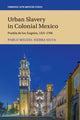 Book cover of: Urban Slavery in Colonial Mexico. By: Pablo Miguel Sierra Silva