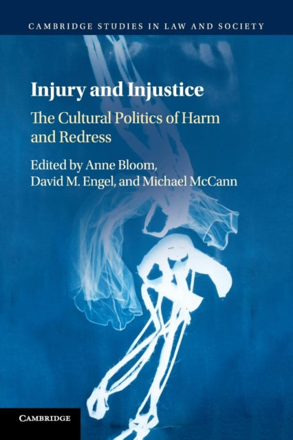 Book cover of: Injury and Injustice. By: Anne Bloom
