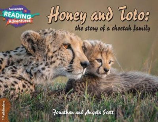Cambridge Readingi seiklused Honey ja Toto: Gepardipere lugu 1 Pathfinders