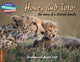 Cambridge Readingi seiklused Honey ja Toto: Gepardipere lugu 1 Pathfinders