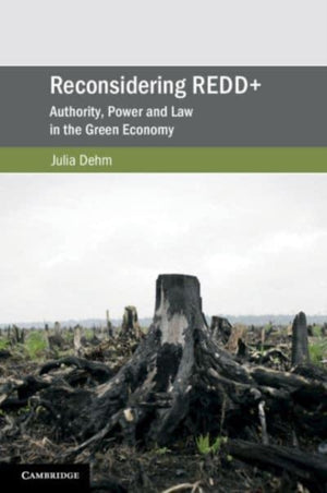 Reconsidering REDD+