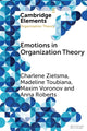 Book cover of: Emotions in Organization Theory. By: Charlene Zietsma