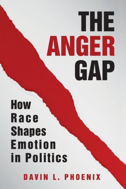 Book cover of: Anger Gap. By: Davin L. Phoenix