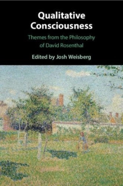 Book cover of: Qualitative Consciousness
